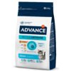 Advance Gato Kitten 400Gr/1,5Kg/3Kg/10Kg